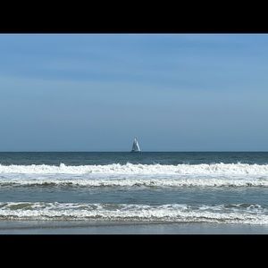 Meet your Posher, Falon